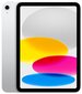 iPad 10.9" Wi-Fi 256GB - Silver 10th Gen - MPQ83HC/A цена и информация | Tahvelarvutid | hansapost.ee