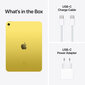 iPad 10.9" Wi-Fi 256GB - Yellow 10th Gen - MPQA3HC/A hind ja info | Tahvelarvutid | hansapost.ee