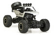 Auto RC Rock Crawler 1:12 4WD Metal Hõbe цена и информация | Mänguasjad poistele | hansapost.ee