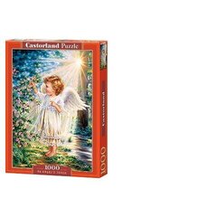 Puzzle 1000 AN ANGEL'S TOUCH 103867 hind ja info | Pusled lastele ja täiskasvanutele | hansapost.ee