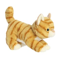 Pehme mänguasi Aurora Eco Nation Kassipoeg, 15 cm price and information | Soft toys and cuddly toys | hansapost.ee