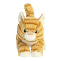 Pehme mänguasi Aurora Eco Nation Kassipoeg, 15 cm price and information | Soft toys and cuddly toys | hansapost.ee