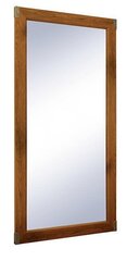 Подвесное зеркало Indiana, цвет коричневый/серебряный цена и информация | Зеркала | hansapost.ee