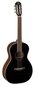 Elektroakustiline kitarr Baton Rouge X54S/PE-BT цена и информация | Kitarrid | hansapost.ee