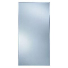 Зеркало Dubiel Vitrum Rectangular, 50x80 см, серебро цена и информация | Зеркала | hansapost.ee