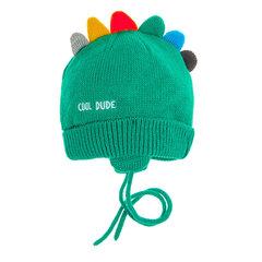 Cool Club müts poistele, CAB2501789 цена и информация | Зимняя одежда для детей | hansapost.ee