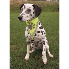 Светоотражающий шарф Trixie, 29 – 42 см цена и информация | Одежда для собак | hansapost.ee