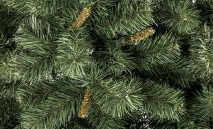 Рождественская елка Olivija 1,80м цена и информация | Искусственные елки | hansapost.ee