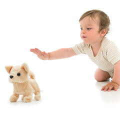 PUGS AT PLAY Kõndiv koer Chili hind ja info | Arendavad laste mänguasjad | hansapost.ee