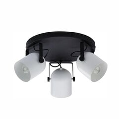 Потолочный светильник TK Lighting Spectra black/white 3491 цена и информация | Потолочные светильники | hansapost.ee