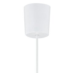 Подвесной светильник TK Lighting Rondo 3461 цена и информация | Люстры | hansapost.ee