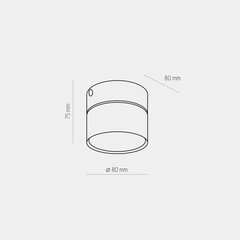 Laevalgusti TK Lighting Space 3398 цена и информация | Потолочные светильники | hansapost.ee