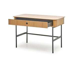 Письменный стол Smart B-1, коричневый цвет цена и информация | Детские письменные столы | hansapost.ee