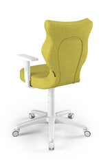 Офисное кресло Entelo Duo DC19 6, зеленое/белое цена и информация | Офисные кресла | hansapost.ee