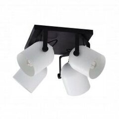 Laevalgusti TK Lighting Spectra black/white kwadrat 3493 hind ja info | Laelambid | hansapost.ee