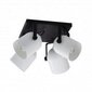 Laevalgusti TK Lighting Spectra black/white kwadrat 3493 цена и информация | Laelambid | hansapost.ee