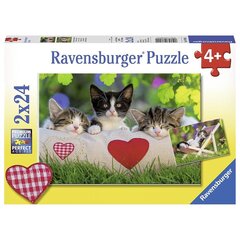 Ravensburger pusle kassid 2x24 tk hind ja info | Pusled lastele ja täiskasvanutele | hansapost.ee