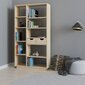 Eraldiseisev riiul Kalune Design Bookshelf 550, helepruun hind ja info | Riiulid | hansapost.ee