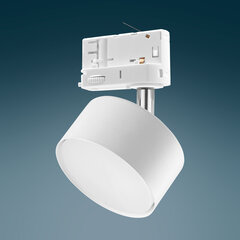 Süvistatav lamp siini TK LIGHTING 6060 hind ja info | Siinivalgustid ja siinid | hansapost.ee
