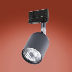 Süvistatav lamp siini TK LIGHTING 6058 hind ja info | Siinivalgustid ja siinid | hansapost.ee