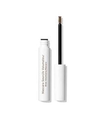 Kulmude ripsmetušš Embryolisse Artist Secret Brow Volumizing Mascara Light Brown, 5 ml hind ja info | Lauvärvid, ripsmetušid ja silmapliiatsid | hansapost.ee