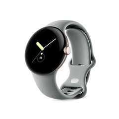 Pixel Watch LTE, Gold/Hazel hind ja info | Nutikellad, laste nutikellad | hansapost.ee