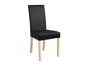 Комплект из 2 стульев BRW Campel, коричневый/черный цена и информация | Стулья для кухни и столовой | hansapost.ee