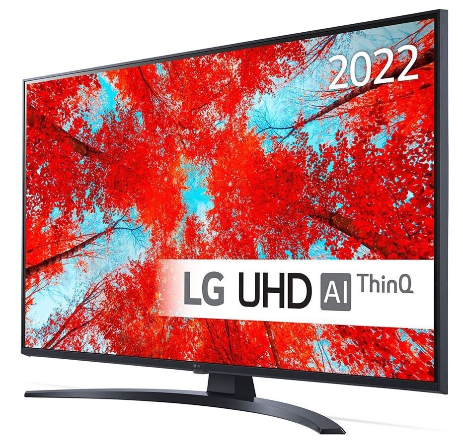 43" 4K UHD Smart TV LG 43UQ91003LA цена и информация | Televiisorid | hansapost.ee