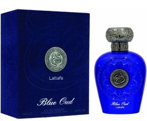 Meeste parfüüm Blue Oud By Lattafa, 100 ml hind ja info | Parfüümid meestele | hansapost.ee