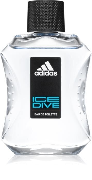 Tualettvesi Adidas Ice Dive EDT meestele 100 ml hind ja info | Parfüümid meestele | hansapost.ee