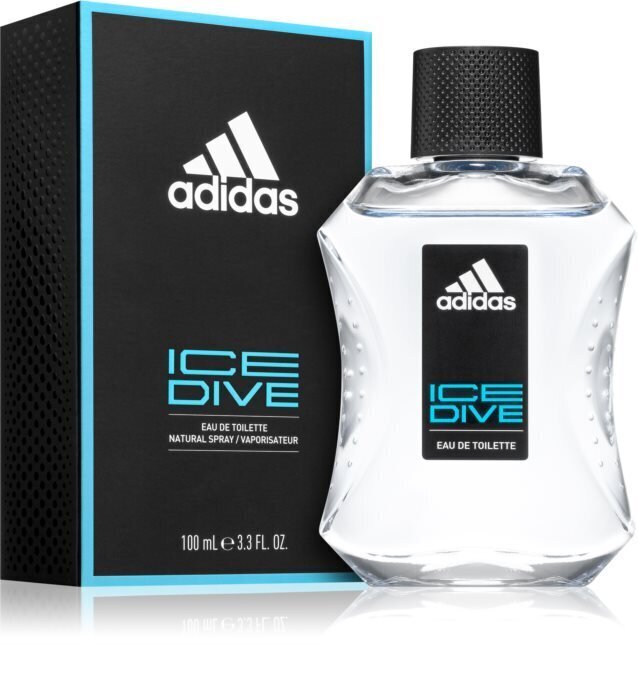 Tualettvesi Adidas Ice Dive EDT meestele 100 ml hind ja info | Parfüümid meestele | hansapost.ee