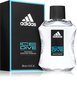 Tualettvesi Adidas Ice Dive EDT meestele 100 ml цена и информация | Parfüümid meestele | hansapost.ee