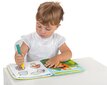 Veega värviraamat Hooaeg Chicco цена и информация | Arendavad laste mänguasjad | hansapost.ee