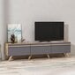 TV-laud Kalune Design 382, 180 cm, hall цена и информация | Televiisori alused | hansapost.ee