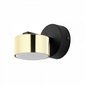 Seinavalgusti TK Lighting Dallas gold 6090 цена и информация | Seinavalgustid | hansapost.ee