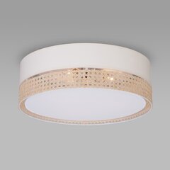 Laevalgusti TK Lighting Paglia 450 6536 hind ja info | Laelambid | hansapost.ee