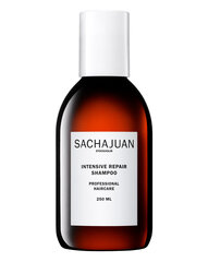 Taastav juuksešampoon Sachajuan Intensive Repair, 250 ml price and information | Shampoos | hansapost.ee