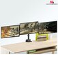 Maclean MC-811 цена и информация | Monitori kinnitused | hansapost.ee