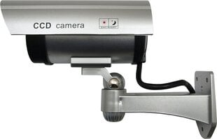 Valvekaamera CEE IR1100S цена и информация | Камеры видеонаблюдения | hansapost.ee