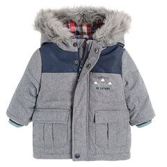 Cool Club куртка для мальчиков, COB2501773 цена и информация | Зимняя одежда для детей | hansapost.ee