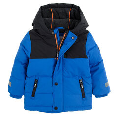 Cool Club куртка для мальчиков, COB2501774 цена и информация | Зимняя одежда для детей | hansapost.ee