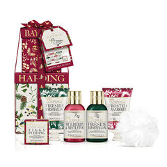 Vannipallide komplekt Baylis & Harding The Fuzzy Duck Winter Wonderland hind ja info | Kehakreemid, kehaõlid ja losjoonid | hansapost.ee