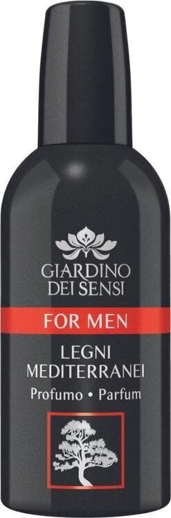 Parfüümvesi Giardino Dei Sensi Legni Mediterranei EDP meestele 100 ml цена и информация | Parfüümid meestele | hansapost.ee