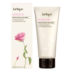 Увлажняющая маска для лица для сухой и обезвоженной кожи Jurlique Rose Moisture Plus, 100 мл цена и информация | Маски для лица, патчи для глаз | hansapost.ee