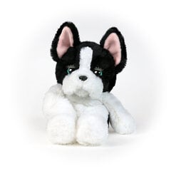 Интерактивный щенок Tucker «My Fuzzy Friends» цена и информация |  Мягкие игрушки | hansapost.ee