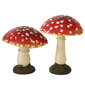 Boltze dekoratiivne figuur Mushroom hind ja info | Sisustuselemendid | hansapost.ee