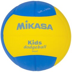 Võrkpalli pall lastele Mikasa DS20, suurus 4 hind ja info | Võrkpalli pallid | hansapost.ee