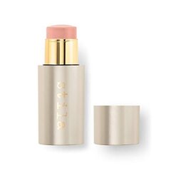 Põsepuna- ja huulepulgapulk 2in1 Stila Complete Harmony Lip & Cheek, 6 g, Sheer Gerbera hind ja info | Päikesepuudrid ja põsepunad | hansapost.ee