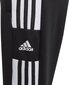 Dressipüksid adidas performance sq21 tr pnt y gk9553 hind ja info | Püksid poistele | hansapost.ee