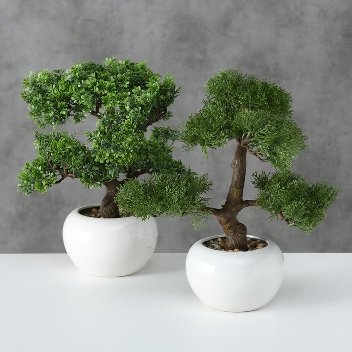 Boltze kunsttaim Bonsai цена и информация | Sisustuselemendid | hansapost.ee